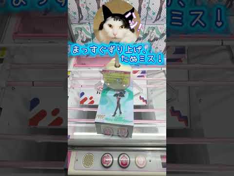 橋幅も広いぽい⭐️#クレーンゲーム #ufoキャッチャー #ベネクス川越店 #初音ミク #shorts #ねこ