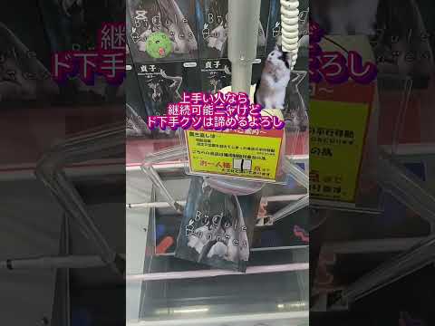 デカ箱貞子楽に取る秘訣・失敗例付き