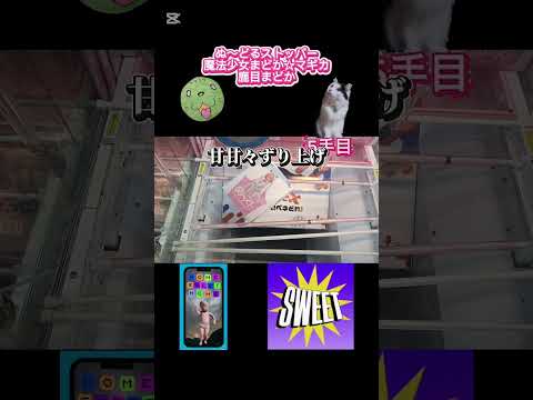 魔法少女まどか☆マギカ鹿目まどか　ベネどれブース