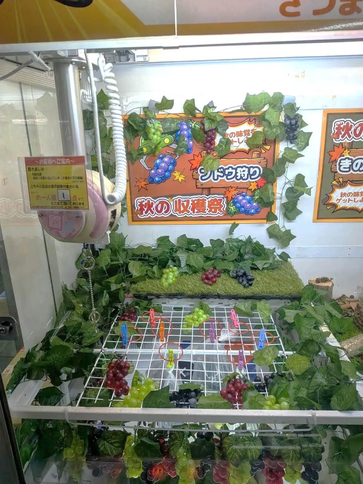 秋の収穫祭「ブドウ狩り」の企画台(川崎)