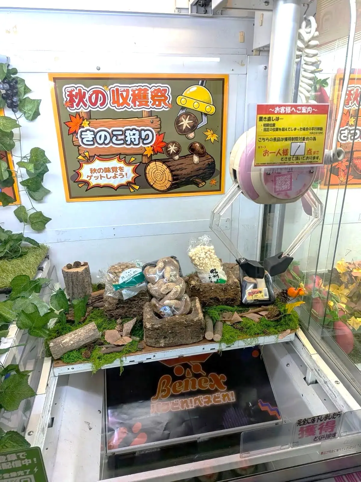 秋の収穫祭「きのこ狩り」の企画台(川崎)