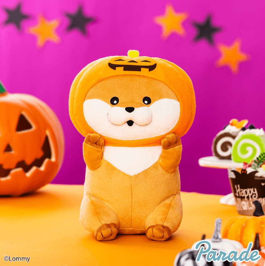 可愛い嘘のカワウソハロウィンだぬ!BIGぬいぐるみ