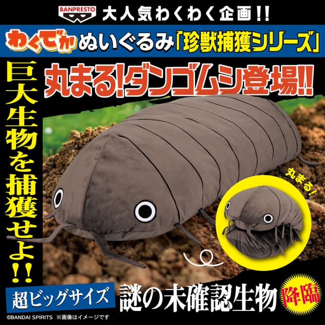 わくでかぬいぐるみ 珍獣捕獲シリーズ~丸まる!ダンゴムシ~