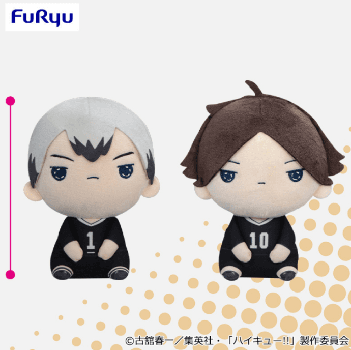 ハイキュー!! もちぴこぬいぐるみ⑩