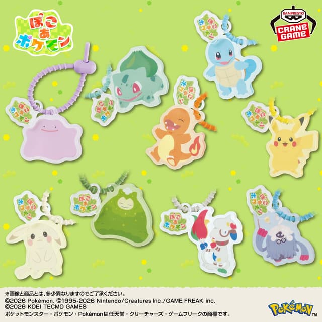 『ぽこ あ ポケモン』 シリコンバンド付きアクリルブロック
