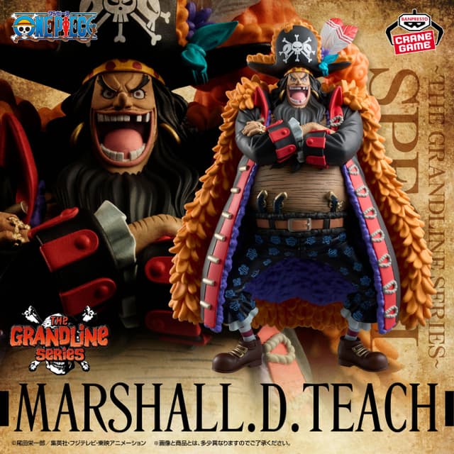 ワンピース DXF~THE GRANDLINE SERIES~SPECIAL MARSHALL.D.TEACH